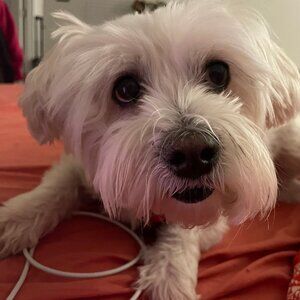 Meet your Posher, Sola